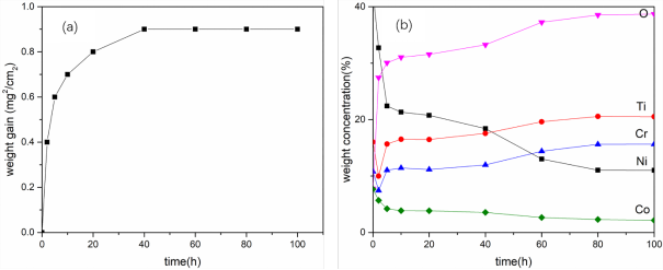 600°循環(huán)氧化100h結果